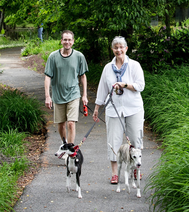 walking dogs