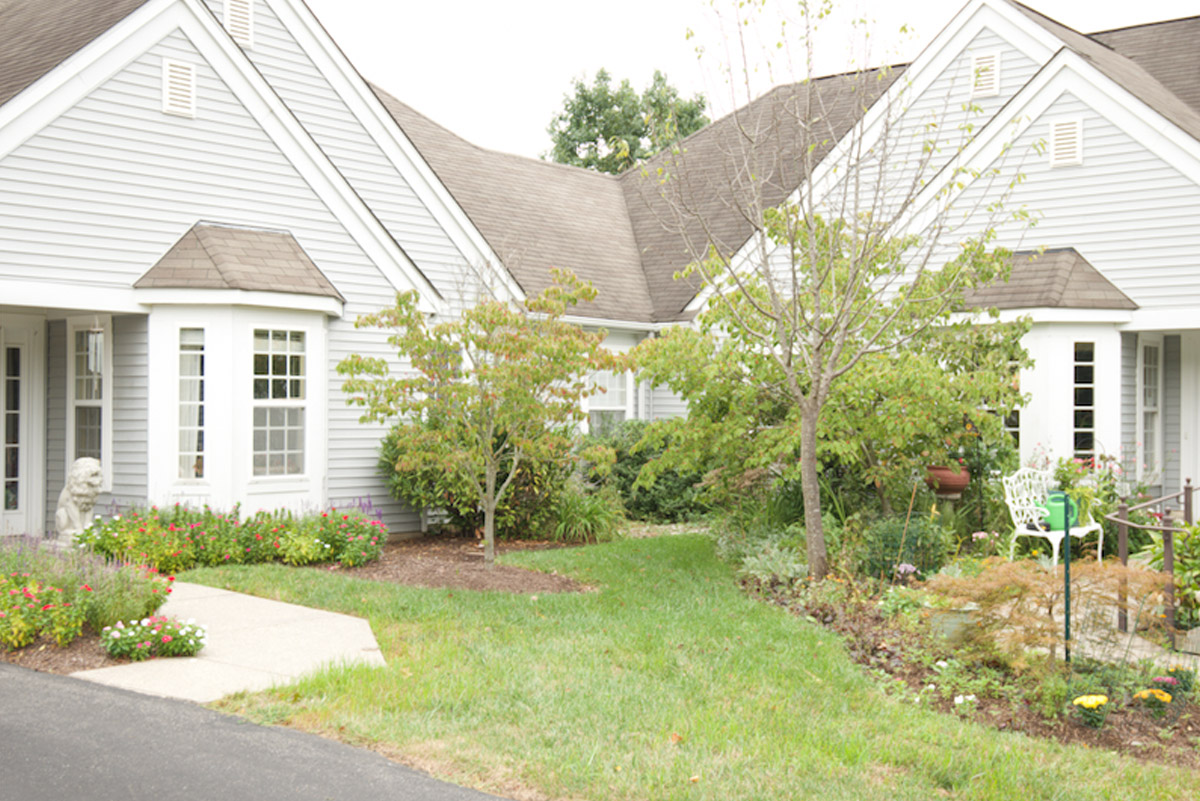 collington cottage