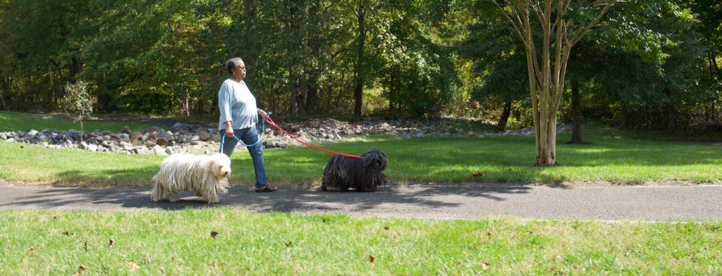 Woman walks dog on Colligton campus