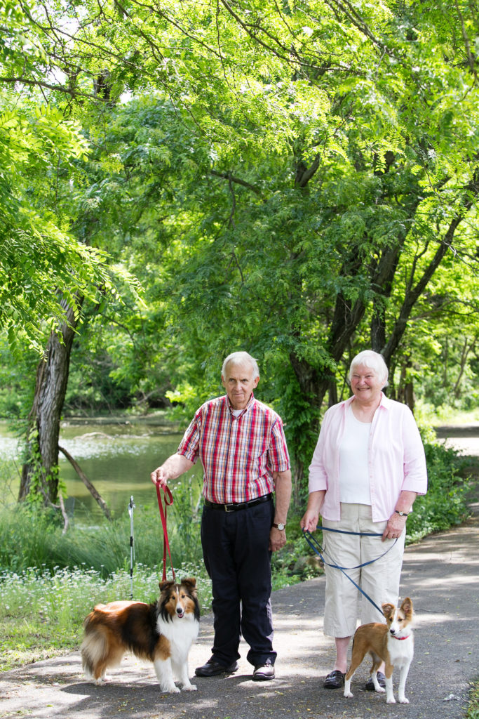 couple walks dogs