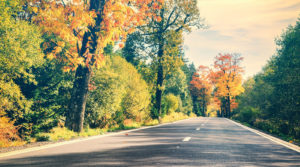 Autumn trees with road