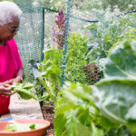 collington-activities-gardening
