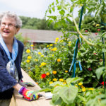 collington-community-garden