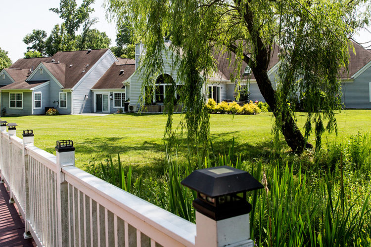 Photo Gallery and Videos Collington