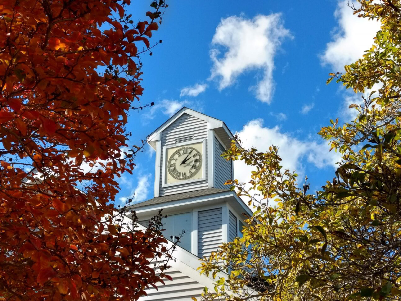 Image of the Clocktower with fall trees framing it.
