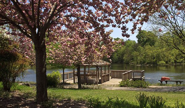 view of the lake and gazebo