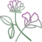 form purple flower