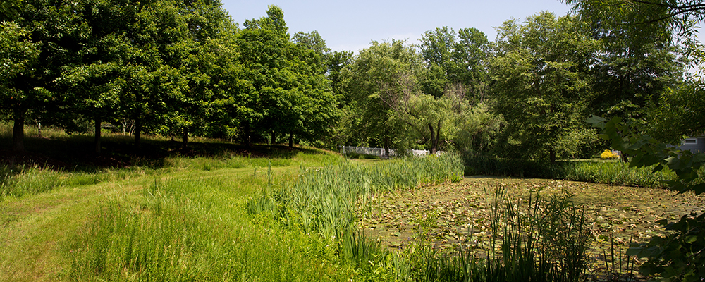 Collington's accredited arboretum