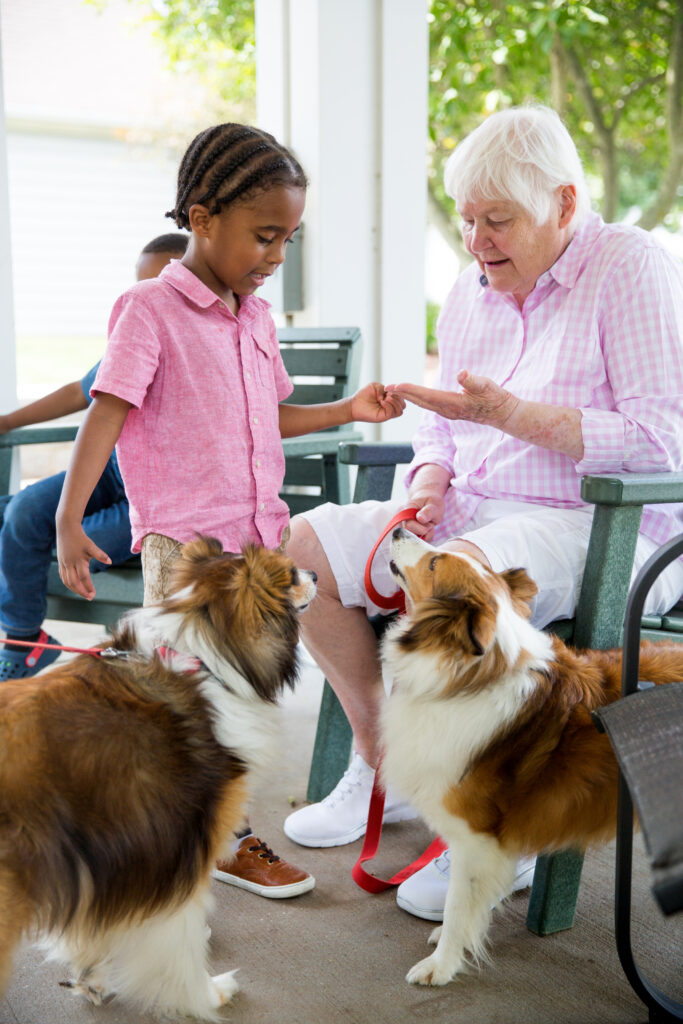 Woman with dogs entertains child